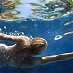 Eric Zener